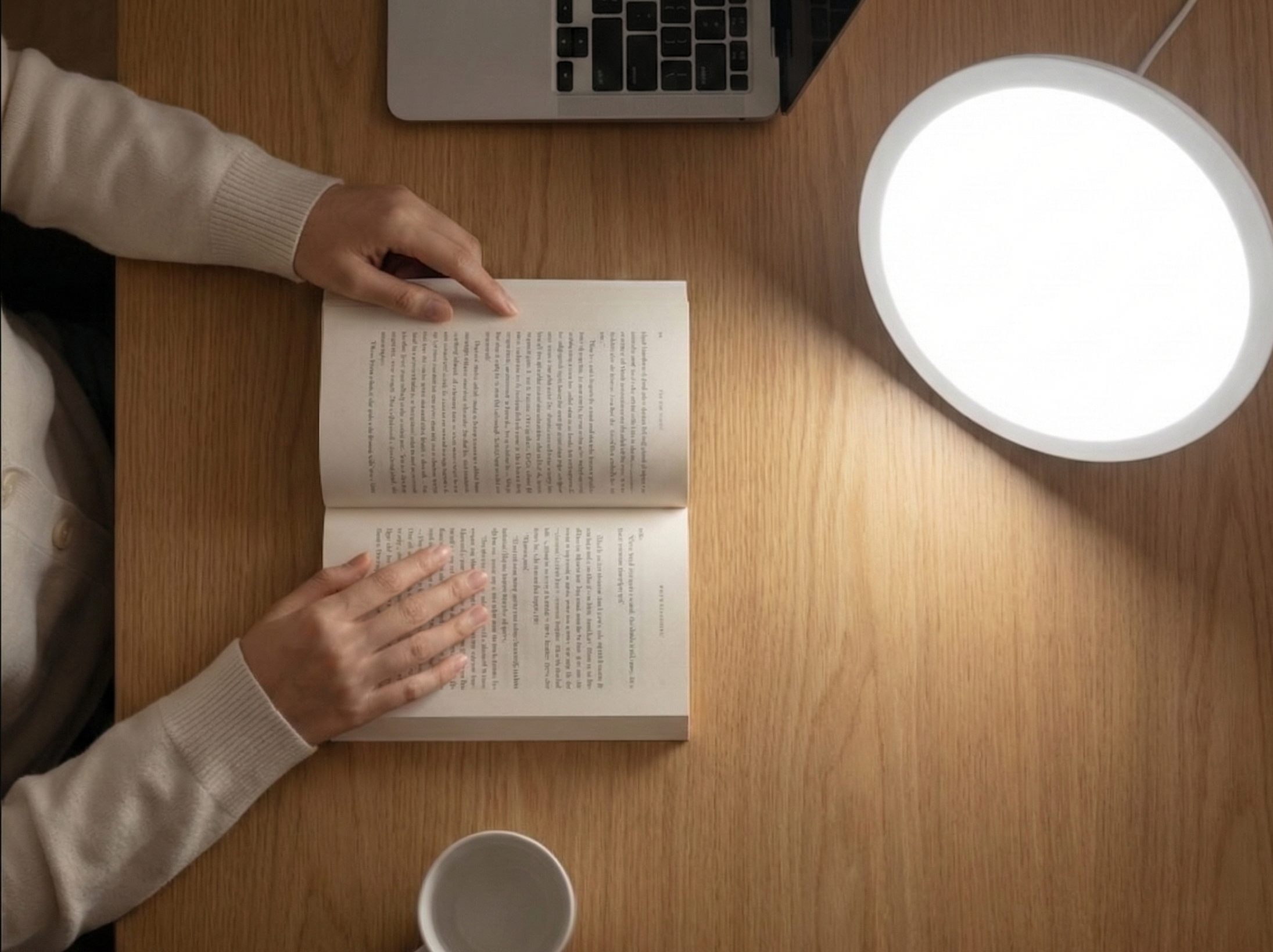 Daylight Adjustable Study Lamp