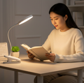 USB Rechargeable Folding Clamp LED Desk Lamp