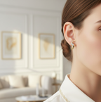 Aurielle Rotating Zircon Studs