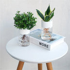 ClearBloom Hydroponic Planter