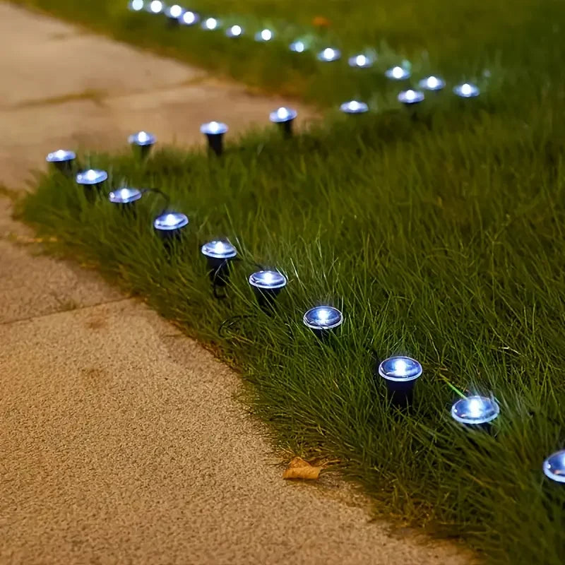 Outdoor Solar Party Lights