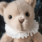 Cuddle Teddy Bear