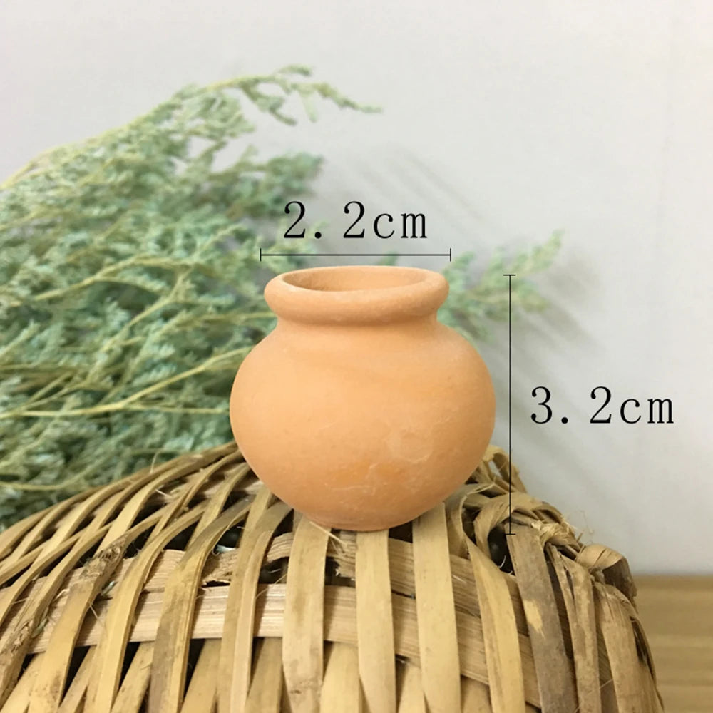 Rustic Bloom Terracotta Pot