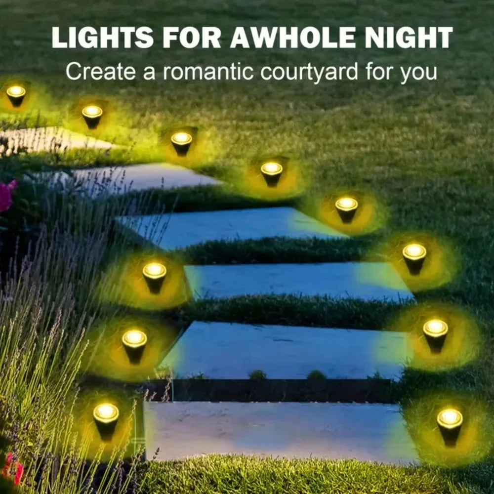 Outdoor Solar Party Lights