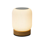 LumiTouch Rechargeable Lamp