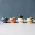 PlanetGlow Ceramic Succulent Pot