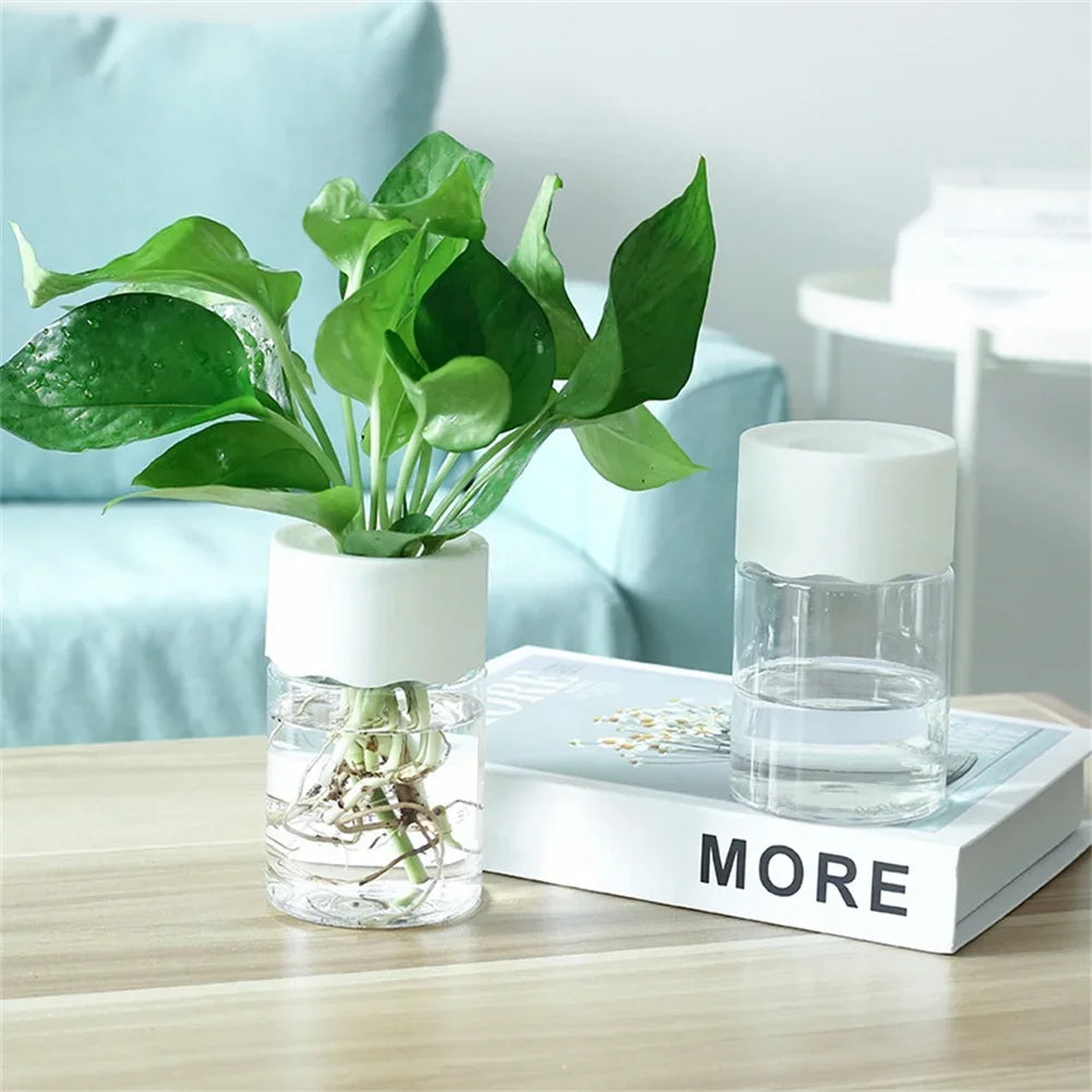 ClearBloom Hydroponic Planter