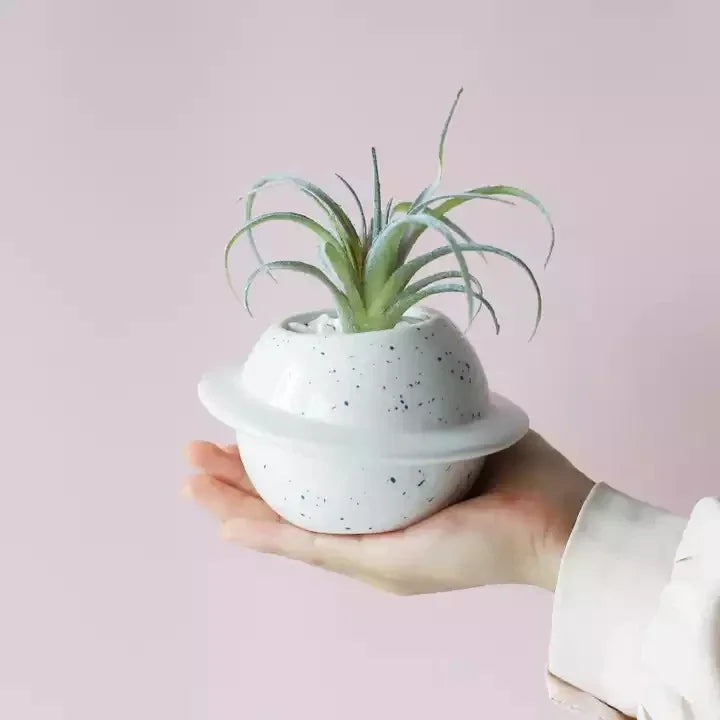PlanetGlow Ceramic Succulent Pot