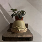StorySprout Indoor Plant Holder
