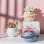 PlanetGlow Ceramic Succulent Pot