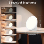 Daylight Adjustable Study Lamp