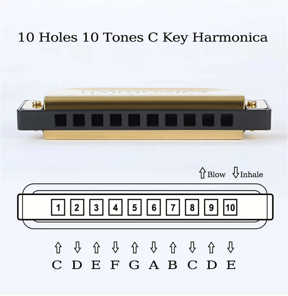EasyPlay Blues Harmonica
