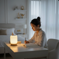 LumiTouch Rechargeable Desk & Bedside Lamp