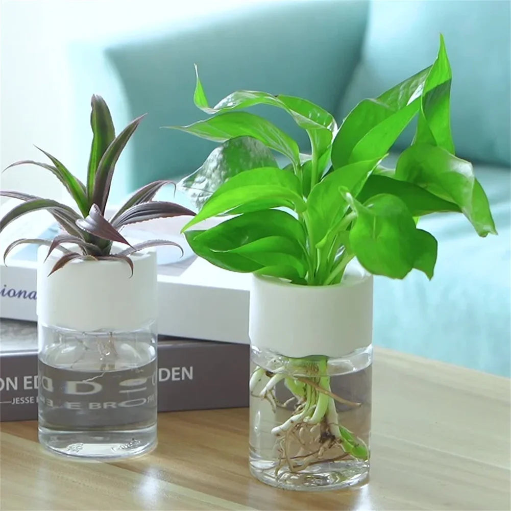 ClearBloom Hydroponic Planter