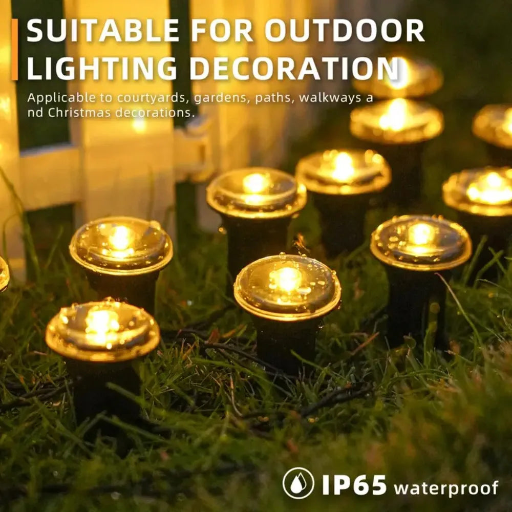 Outdoor Solar Party Lights
